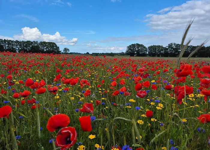 Feriendomizil Im Lieper Winkel
