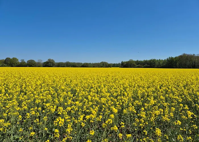 Feriendomizil Im Lieper Winkel Rankwitz