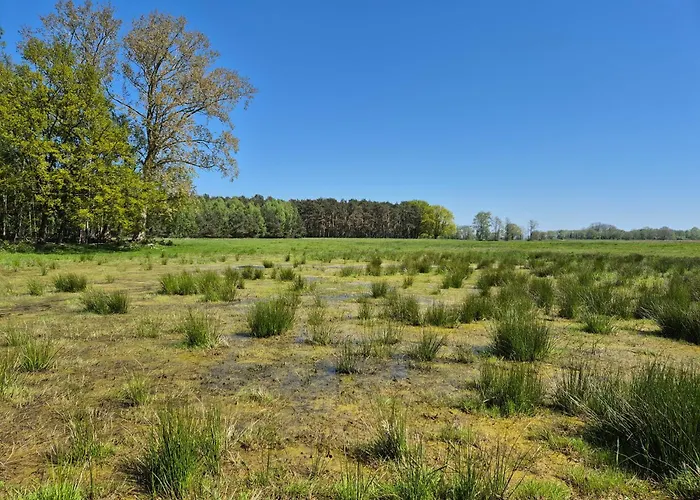 דירה Feriendomizil Im Lieper Winkel *